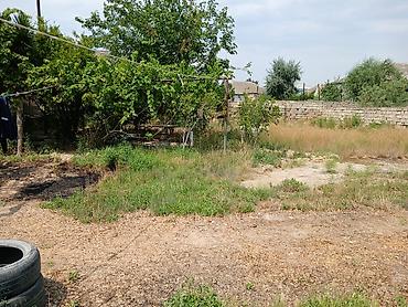 Torpaq sahələrinin satışı: 4 sot -da lalafo.az — 8 Torpaq sahələrinin satışı: 4 sot — 8