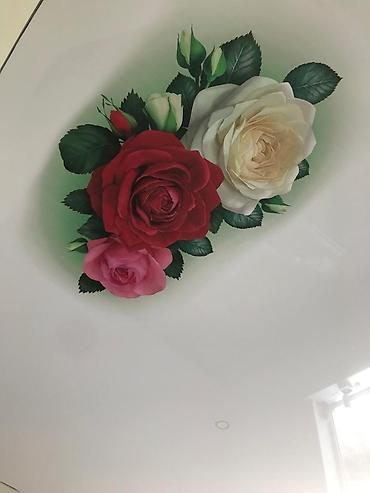 Натяжной потолок: Натяжной потолок Глянцевое, Матовое, 3D потолки Монтаж, Гарантия, Демонтаж — 13