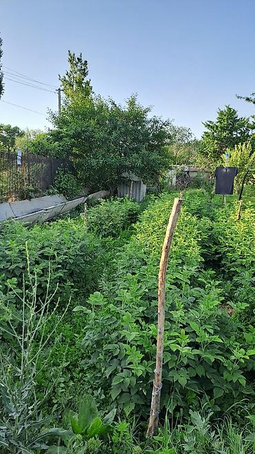 Продажа участков: 10 соток, Для сельского хозяйства, Красная книга — 7