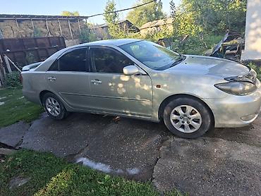 тойота приус с: Toyota Camry: 2004 г., Бензин, Седан — 5