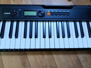 мини микрафон: CASIO портативный синтезатор/миди‑клавиатура серии Casiotone Совет