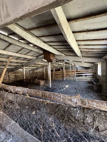 Сельхоз предприятия: Продаю Кошара, 130 соток, Действующий, Частично с оборудованием, Электричество, Канализация, Отопление — 14