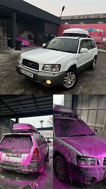 Subaru: Subaru Forester: 2003 г., 2 л, Автомат, Бензин, Универсал — 1