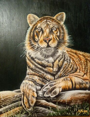 Slike i ramovi: Slika, 50 x 60 cm, Novo — 6