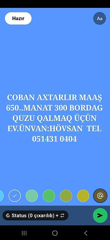 ferma işi 2025: Çoban işi – Hövsan - İş: Çoban axtarılır - Maaş: 650 manat - — 1