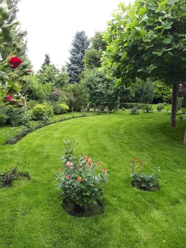 Другие услуги: Обрезка плодовых и декоративных деревьев, винограда,роз и других — 9