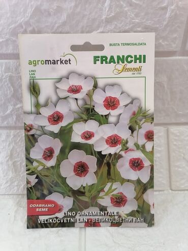 Semena i sadnice: Cena 500din/kesica — 22