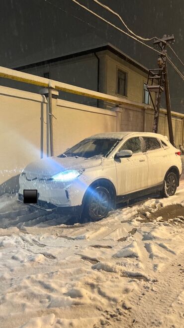 LIFAN: LIFAN : 2021 г., Электромобиль, Кроссовер — 10