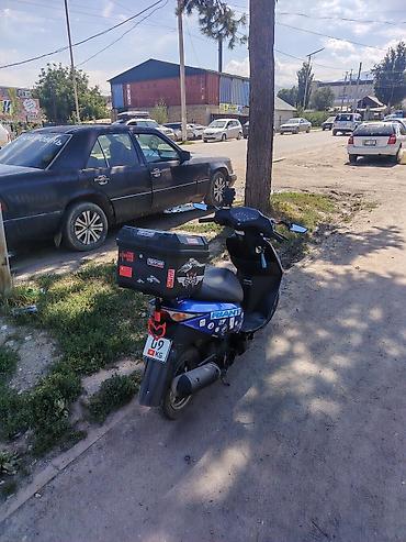 e53 amg: Honda, 50 куб. см, Бензин, Б/у — 2