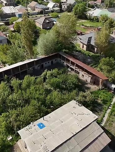 Земельные участки: 23 соток, Красная книга — 4