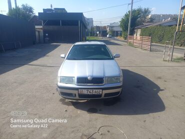 Skoda: Автомобиль Skoda Octavia в кузове седан, окрашенный в серебристый