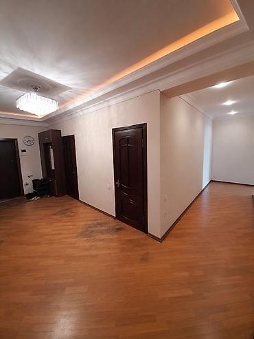 platin satışı: Gənclik metrosuna yaxın, Ayna Sultanova heykəli və İstanbul NS — 9