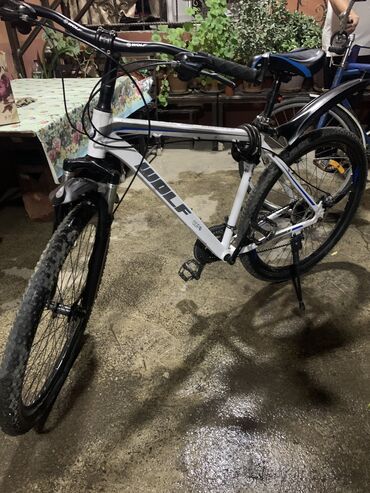 горный велики: Городской велосипед, Другой бренд, Рама XXL (190 - 210 см), Алюминий, Б/у