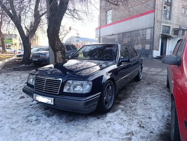 Mercedes-Benz: Mercedes-Benz W124: 1995 г., 2.2 л, Автомат, Бензин