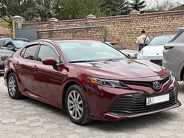 camry 55 exclusive: Toyota Camry: 2020 г., 2.5 л, Автомат, Гибрид, Седан — 2