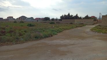 купить землю в бузовнах: 5 соток, Для сельского хозяйства, Купчая