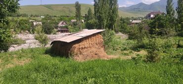 ендик чөп в Кыргызстан | ҮЙЛӨРДҮ САТУУ: Сено хорошего качества. С отличной травы. Не салома!!! примерно 40