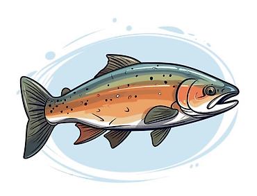 декоративная рыба: 🐟 ФОРЕЛЬ НА ЛЮБОЙ ВКУС И ЦВЕТ! 😋 Живая — свежая и отборная 🐟 — 1