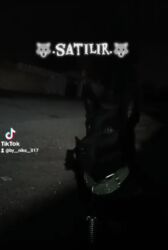 itlərin satışı: 9 ay, Dişi, Ödənişli çatdırılma