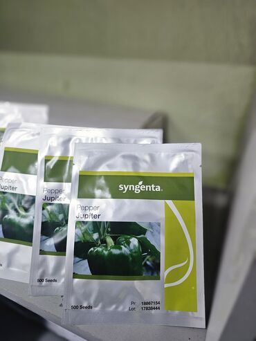 Овощи: Семена овощей: Помидоры, Огурцы, Лук, Самовывоз, Бесплатная доставка, Платная доставка — 24