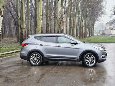 santa: Hyundai Santa Fe: 2017 г., 2 л, Автомат, Дизель, Кроссовер