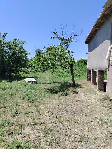 mehemmedi torpaq satilir: 200 sot, Mülkiyyətçi, Kupça (Çıxarış) — 5