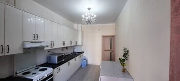 снять квартиру без риэлтора: 1 комната, 55 м², Элитка, 4 этаж, Евроремонт
