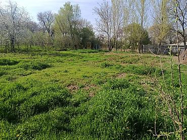 Продажа коттеджей и домов: Продаю дом в сокулуке верхняя зона (спальный район😁 тихо и уютно) — 30
