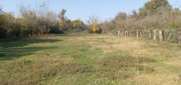 Torpaq sahələrinin satışı: 13 sot, Tikinti, Mülkiyyətçi, Kupça (Çıxarış) — 6