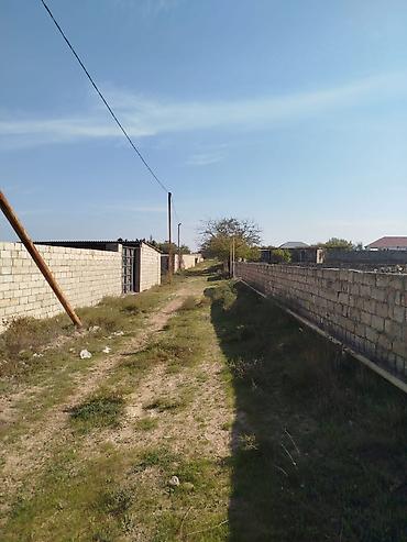 bulbule qesebesi: 12 sot, Tikinti, Maklerlər narahat etməsin, Kupça (Çıxarış) — 9