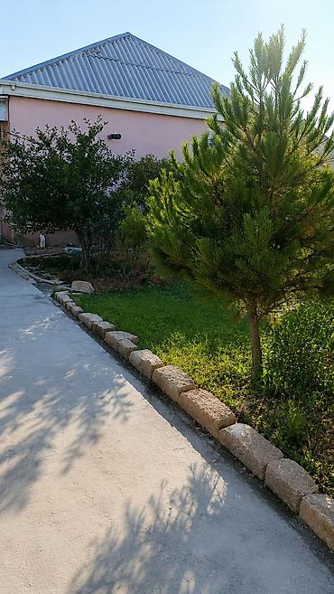 binede: 3 otaqlı, 80 kv. m, Kredit yoxdur, Yeni təmirli — 1