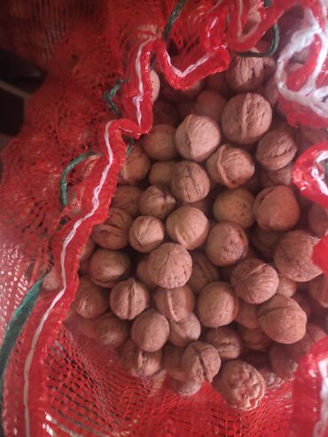 продукты оптом: Продается орехи оптом (Джалал абад, Кара Алма)