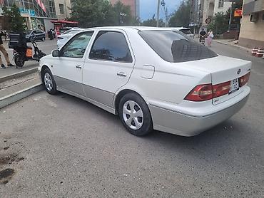 тоета виста: Toyota Vista: 2002 г., 2 л, Автомат, Бензин, Седан — 4