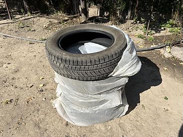 ск пионер: Зимняя шина Dovroad Zyphira WR03 - Размер: 225/60 R18 - Индекс — 1