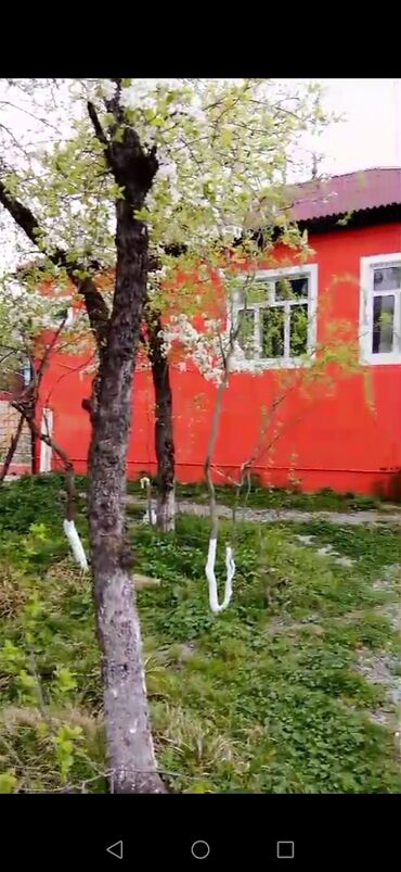 Günlük kirayə evlər: 90 kv. m, 3 otaqlı, Telefon, Qaz, İşıq — 24