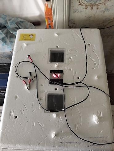 100 yumurta, Rusiya, Tam avtomat, Bütün növ quşlar üçün, Fabrik istehsalı lalafo.az -da — 3 100 yumurta, Rusiya, Tam avtomat, Bütün növ quşlar üçün, Fabrik istehsalı — 3