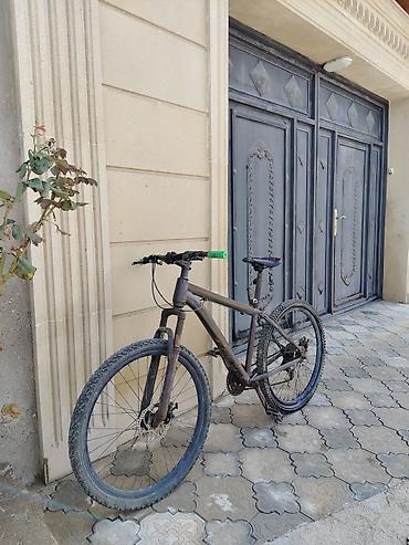 velosped 29: TECLİ SATLIR real alcya edrim olcaqq — 1