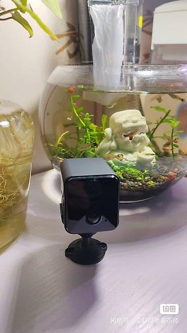 Видеонаблюдение: Wifi видеокамеры наблюдения с аккумулятором.Звук,запись на облачный — 8