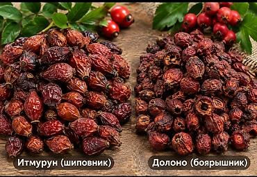 оптом виноград: Шиповник ( ит мурун ) жана боярышник ( долоно) сушёный оптом алам — 1