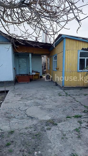 территория: Продаю. земельный участок 12 соток село восток, на территории есть — 5