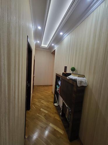 rahat əmlak: 3 otaqlı, Yeni tikili, 115 kv. m — 6