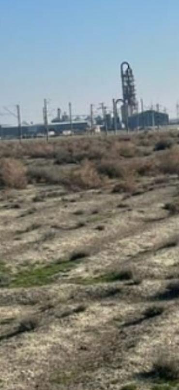 ticari daşınmaz əmlakın satışı: 150 sot, Biznes üçün, Mülkiyyətçi, Kupça (Çıxarış) — 1