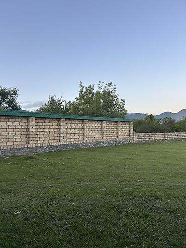 Torpaq sahələrinin satışı: 11 sot, Tikinti, Mülkiyyətçi, Kupça (Çıxarış) — 1