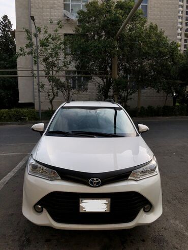 Yağlar və avtokimyəvi maddələr: Toyota Corolla Fielder Hybrid (ağ rəng, universal kuzov) Taxi üçün