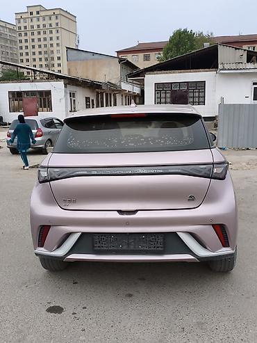 BYD: BYD Dolphin: 2022 г., Электромобиль, Хэтчбэк — 2
