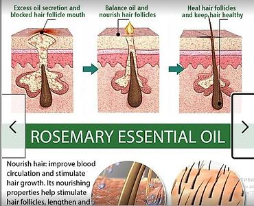 Уход за телом: США Многофункциональное 100% эфирное масло розмарина - прямые поставки — 2