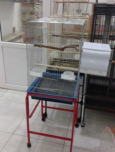 Qəfəslər: Her novde her qiymete qefeslermiz var catrilma var metrolara rayolara — 5