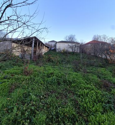 Uzunmüddətli kirayə mənzillər: Öz evimdimakler deyiləm. Quba rayonu Digah kəndində yerləşir. Quba — 17