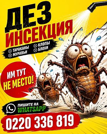 гигиена: Дезинфекциялоо, дезинсекциялоо, | Кумурскалар, | Батирлер — 6