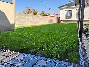 Строительство под ключ: Ландшафтные работы под ключ - Проектирование и обустройство участка — 7